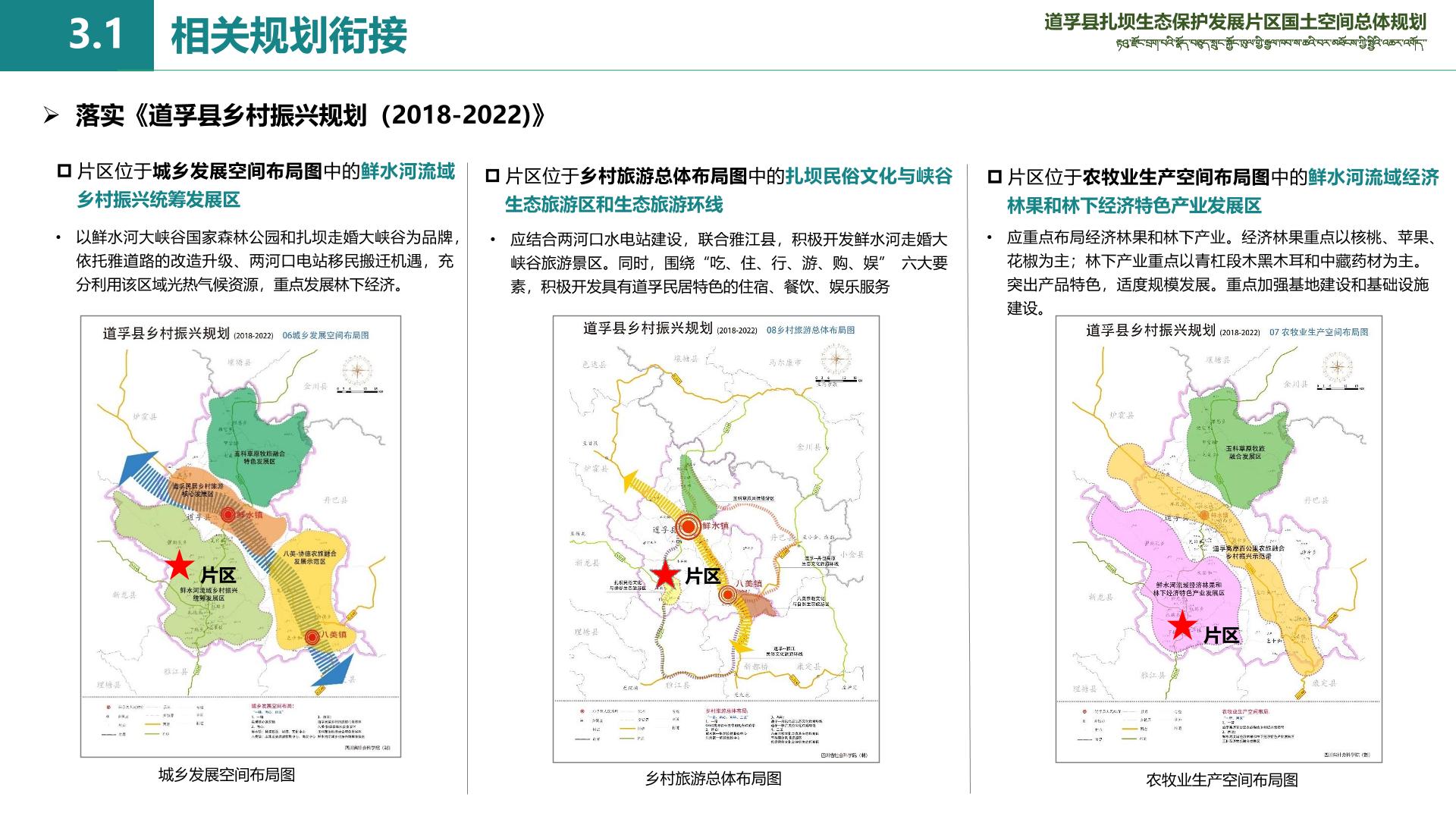 蓼子乡新发展规划，塑造乡村新貌，推动可持续发展之路