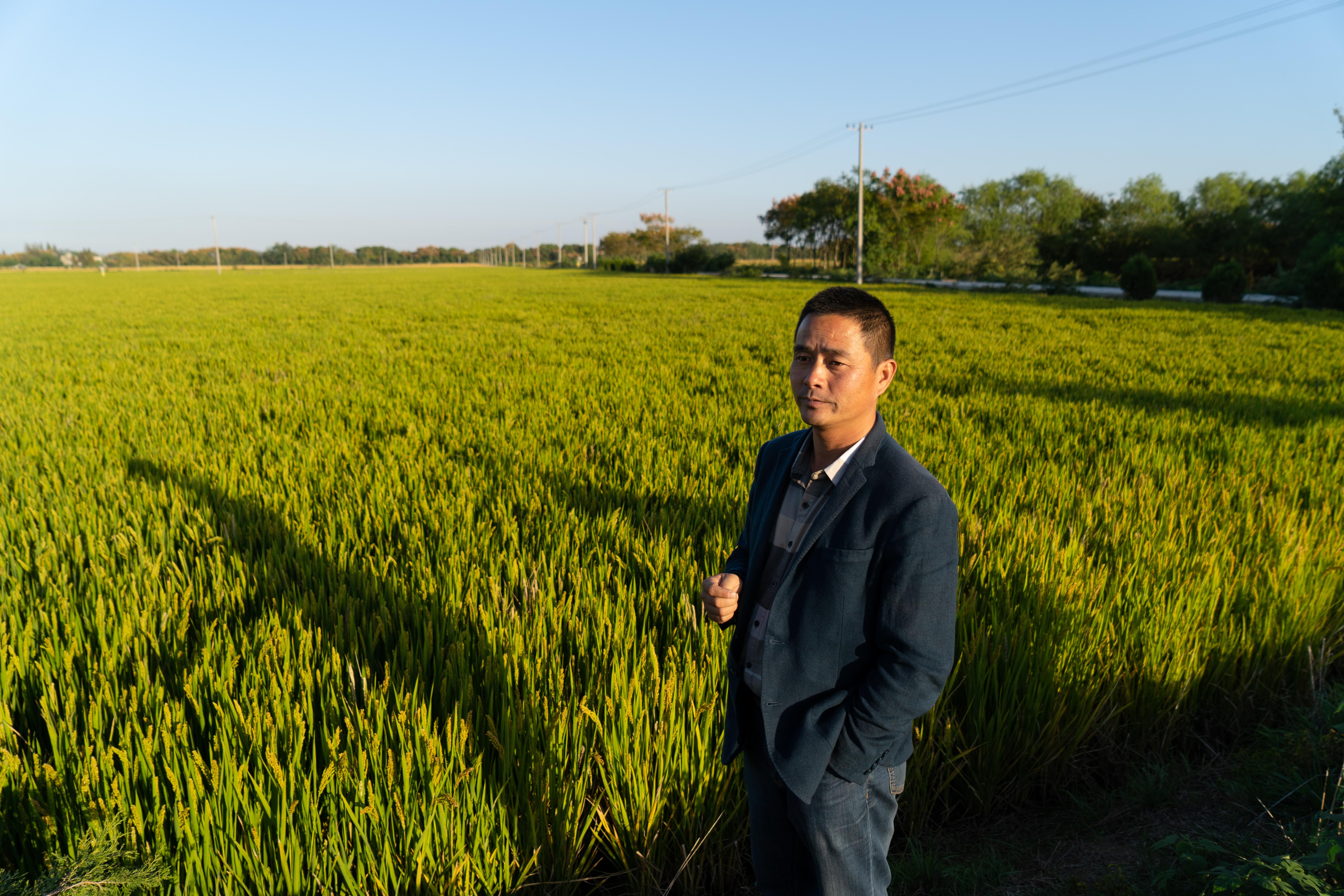 新华农场交通新闻，交通发展助推农场繁荣进步