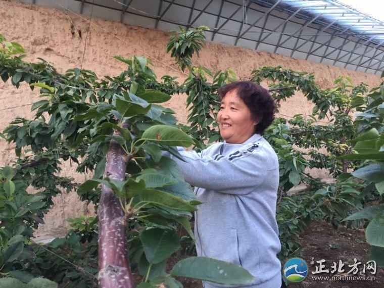 铺地满族乡最新招聘信息汇总