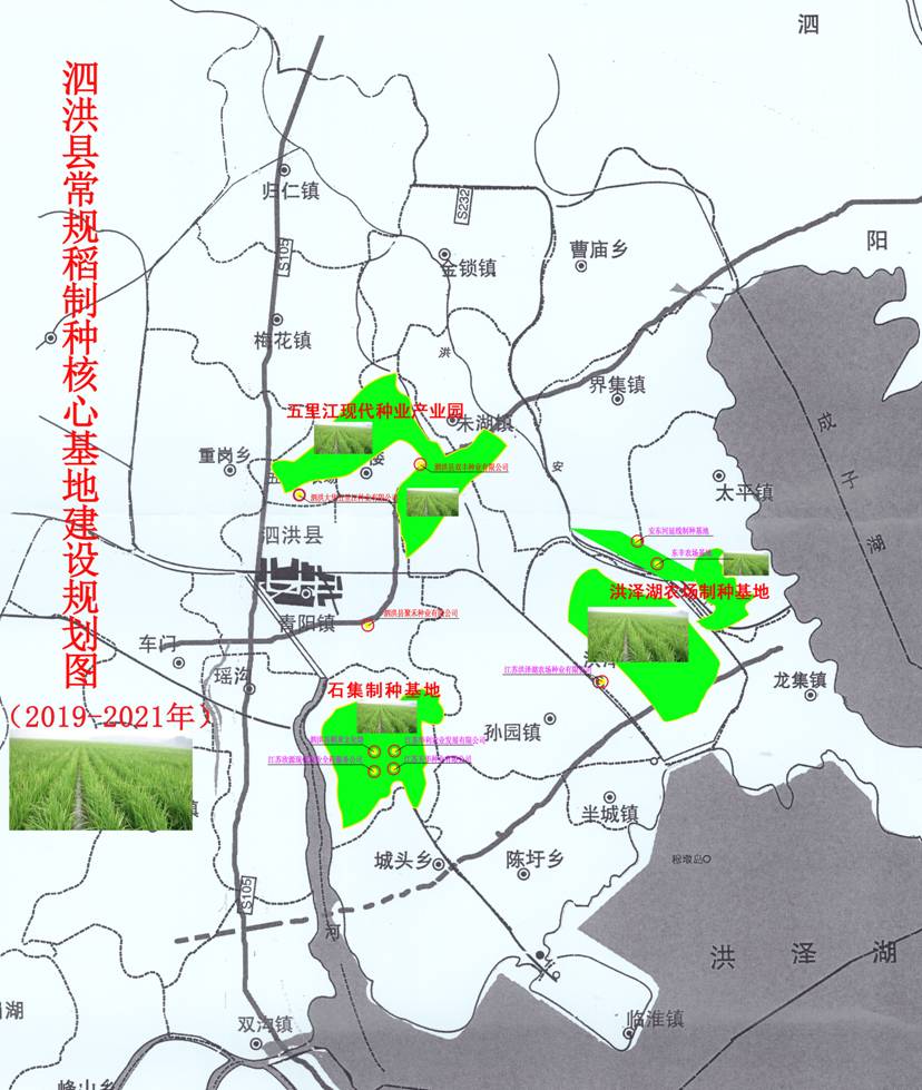 夏溪良种繁育场最新发展规划概览