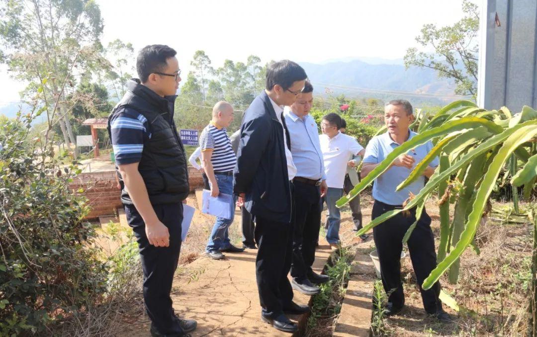 白土村委会新项目助力乡村振兴，提升村民生活质量