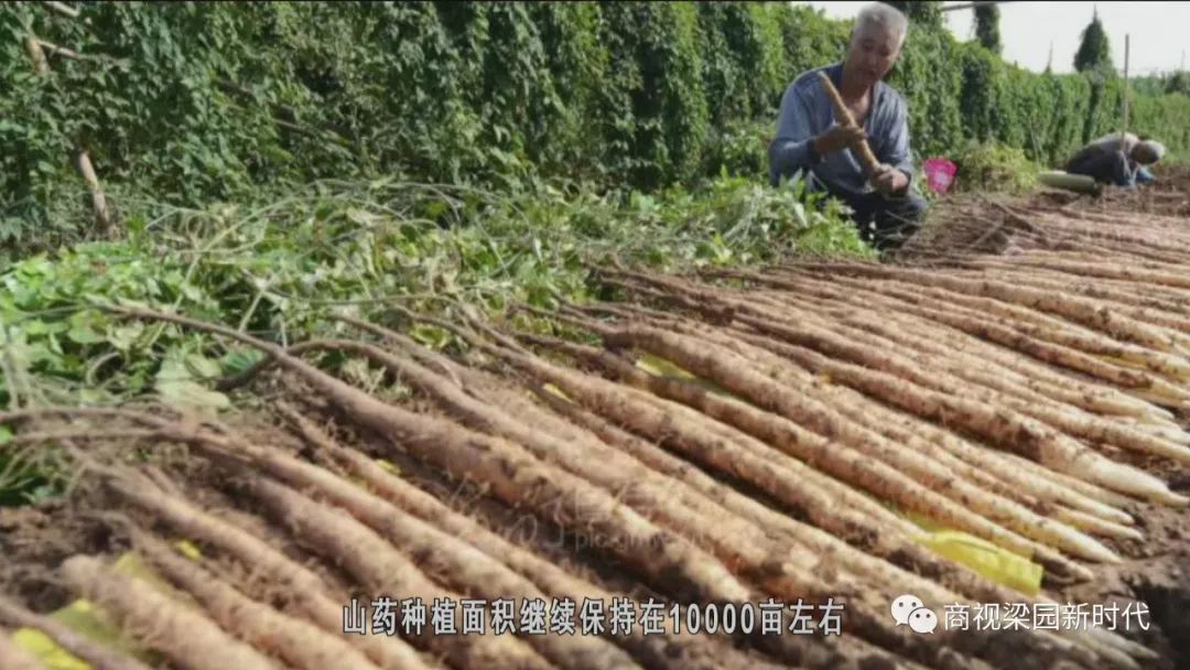 孙福集乡全新发展规划揭秘