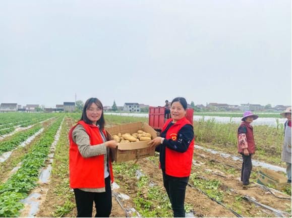 东海农场现代化农业示范区建设新蓝图发展规划揭晓