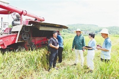 上胡村委会最新动态报道