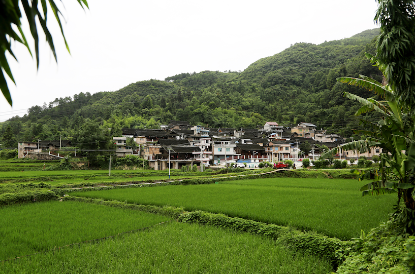 陇山乡最新项目，乡村振兴与绿色发展的融合探索