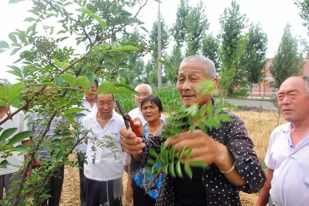 高庙乡最新新闻报道概览