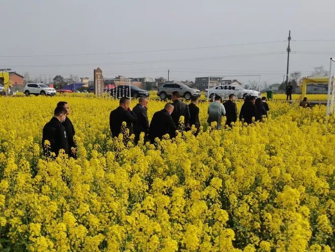 廖家村镇未来繁荣蓝图，最新发展规划揭秘