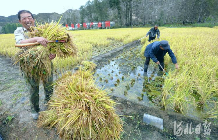 山西省大同市灵丘县下关乡发展规划概览