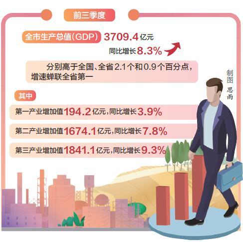 洛阳市市统计局最新项目，探索城市发展的数据力量