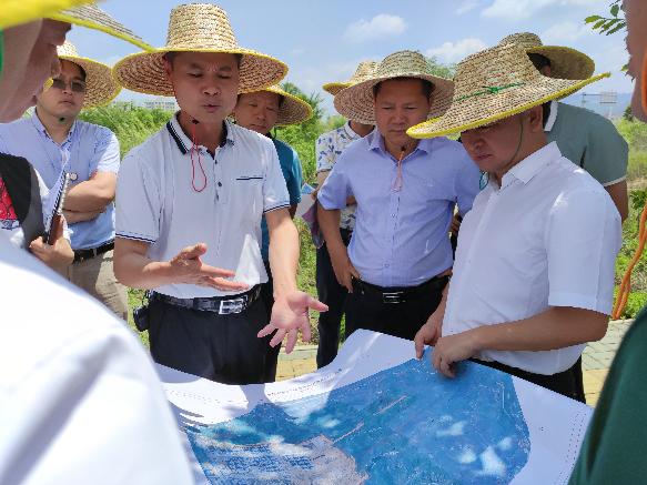 田州镇最新项目，引领地区发展新星启动