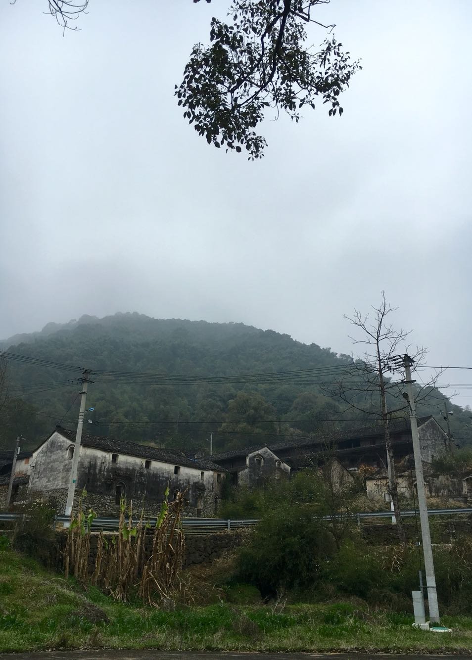 沧山乡天气预报更新通知