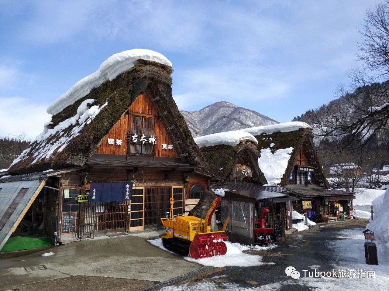 雪仲娘村最新项目，乡村振兴与绿色发展的融合实践