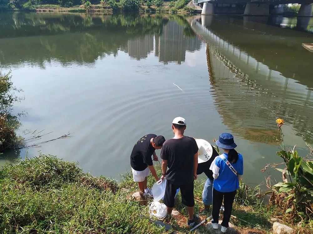 宁德市水利局最新项目概览