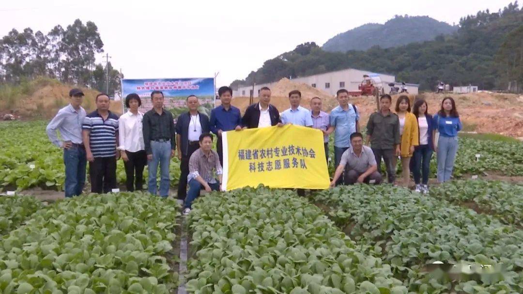 石庄科村民委员会最新发展规划