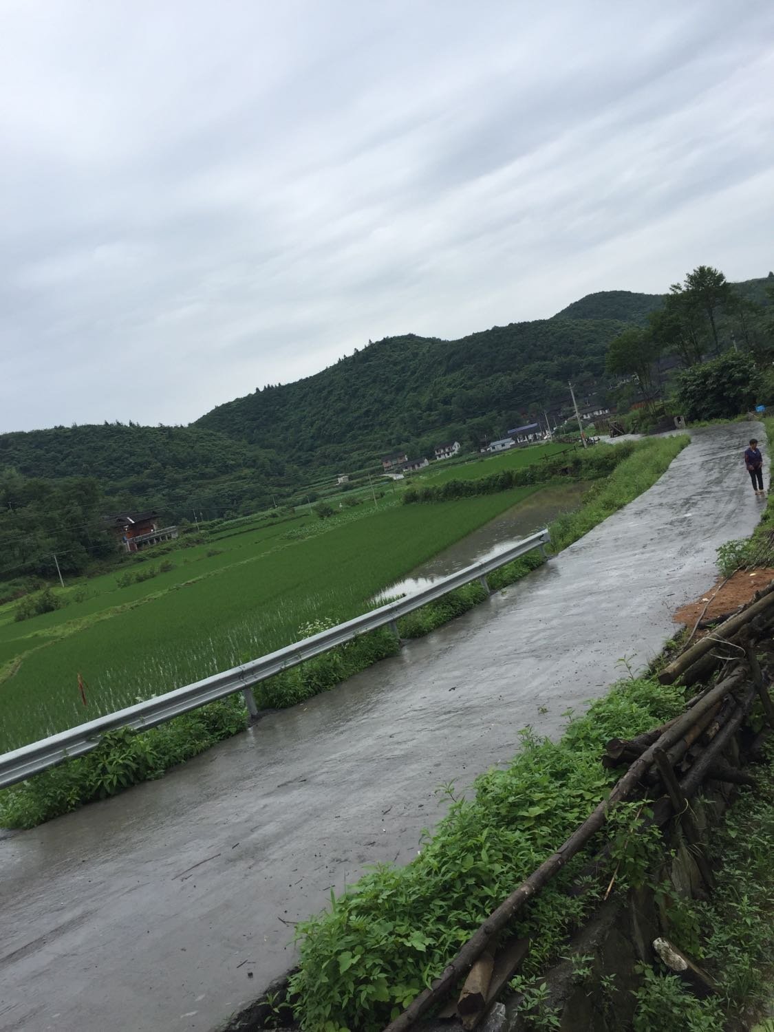 甘田镇天气预报更新通知