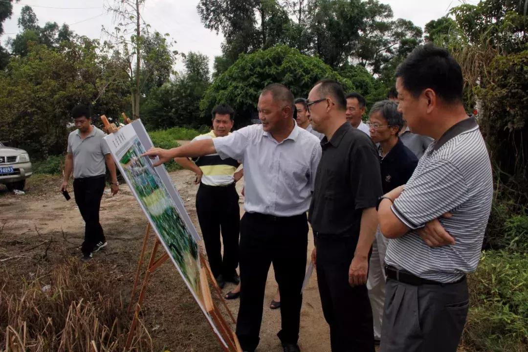 河渠镇领导团队引领未来发展新篇章